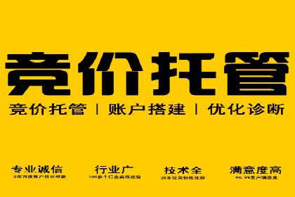 搜索引擎营销（SEM）的推广优化技巧——案例研究